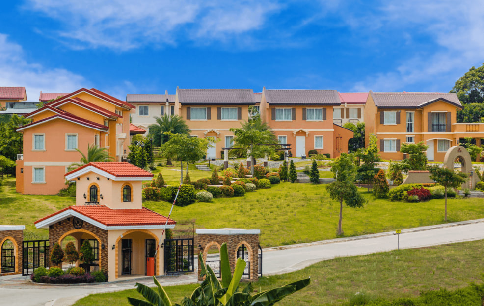 Praverde Camella in Praverde
