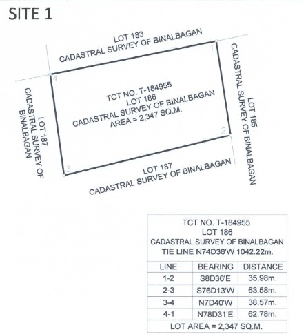 Foreclosed Lot For Sale in Barangay San Jose, Binalbagan, Negros ...